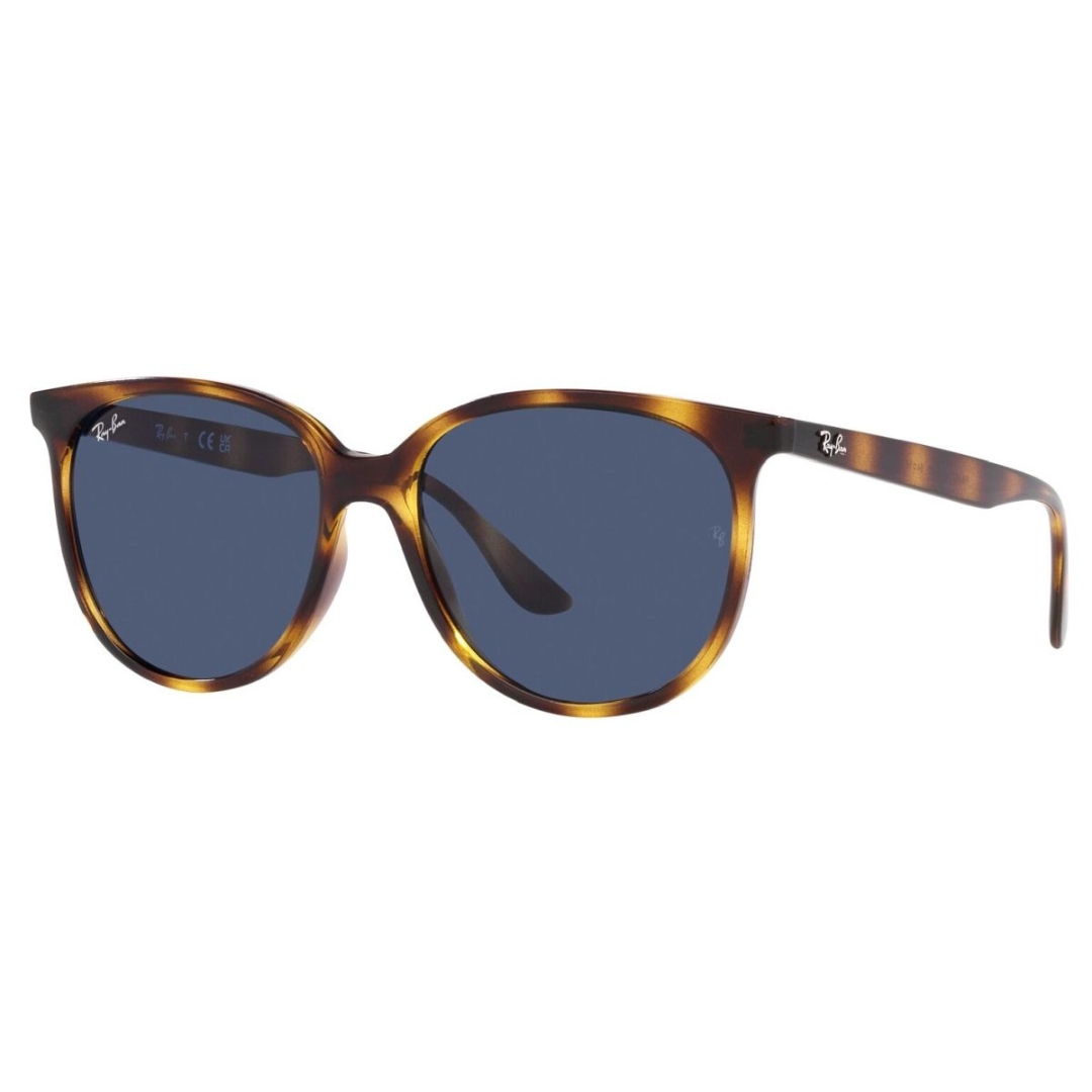 Ray Ban RB4378 710/80 54