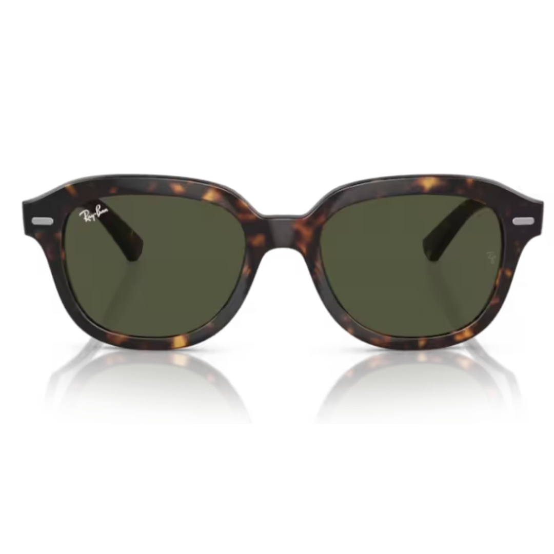 Ray Ban ERIK RB4398 902/31 53