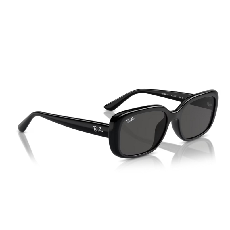 Ray Ban RB4421D 667787 56