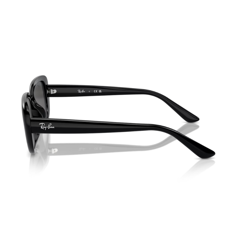 Ray Ban RB4421D 667787 56