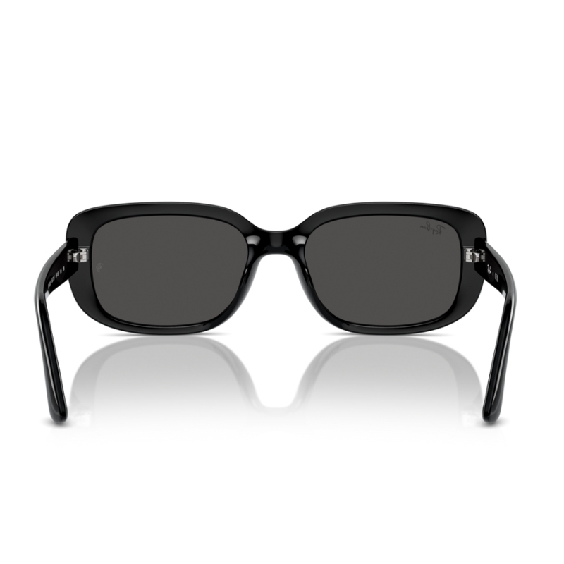 Ray Ban RB4421D 667787 56
