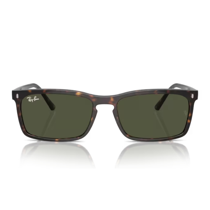 Ray Ban RB4435 902/31 56