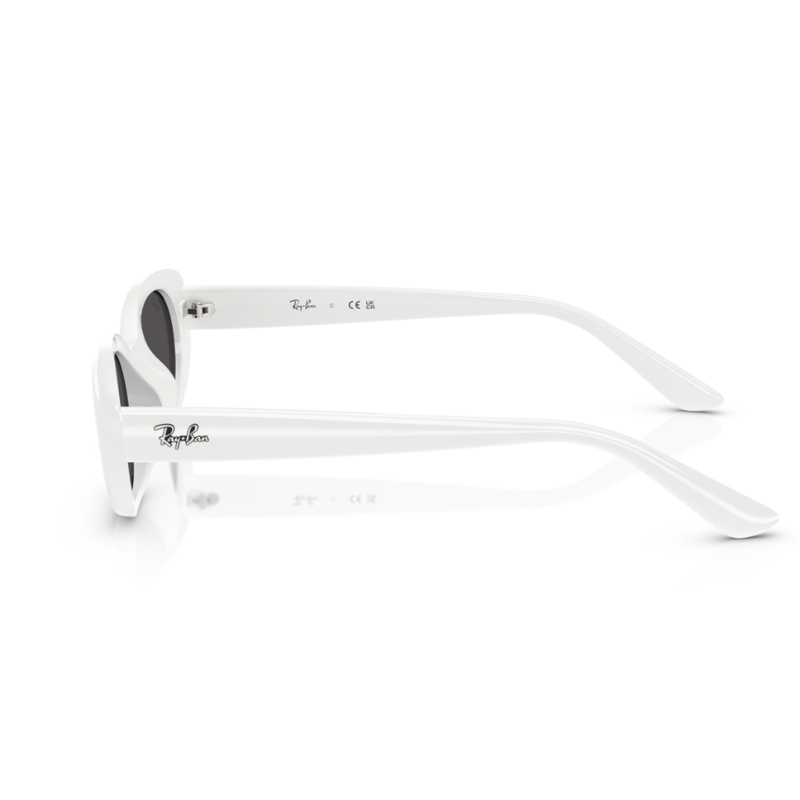 Ray Ban RB4441D 677287 53