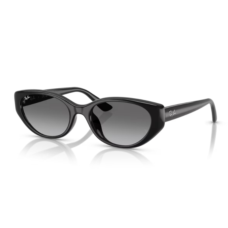 Ray Ban RB4457D 667711 55
