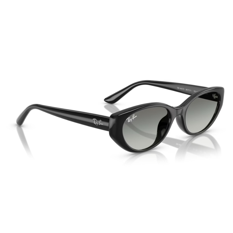 Ray Ban RB4457D 667711 55