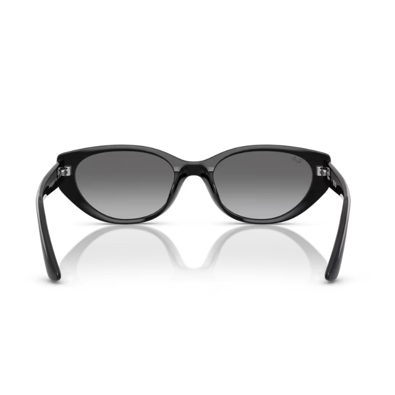 Ray Ban RB4457D 667711 55
