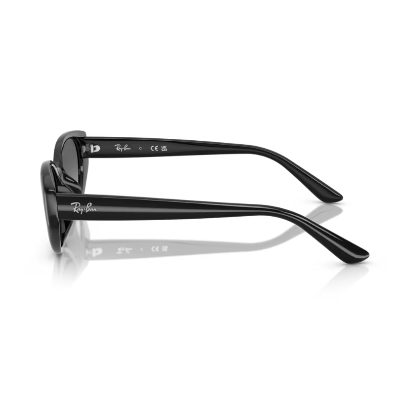 Ray Ban RB4457D 667711 55