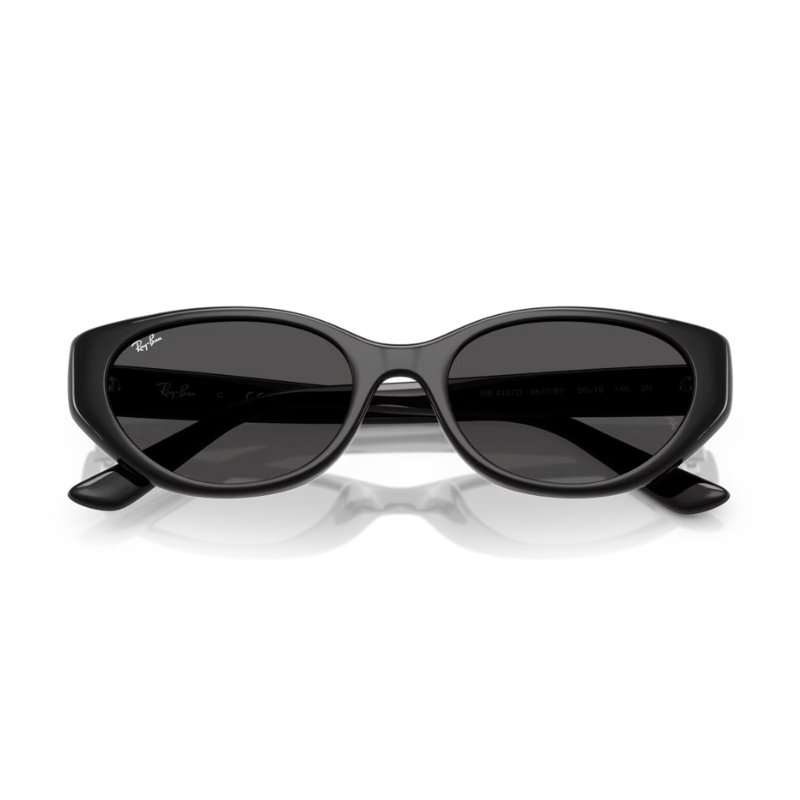 Ray Ban RB4457D 667787 55