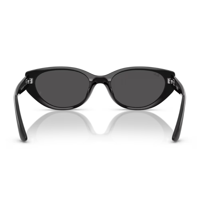Ray Ban RB4457D 667787 55