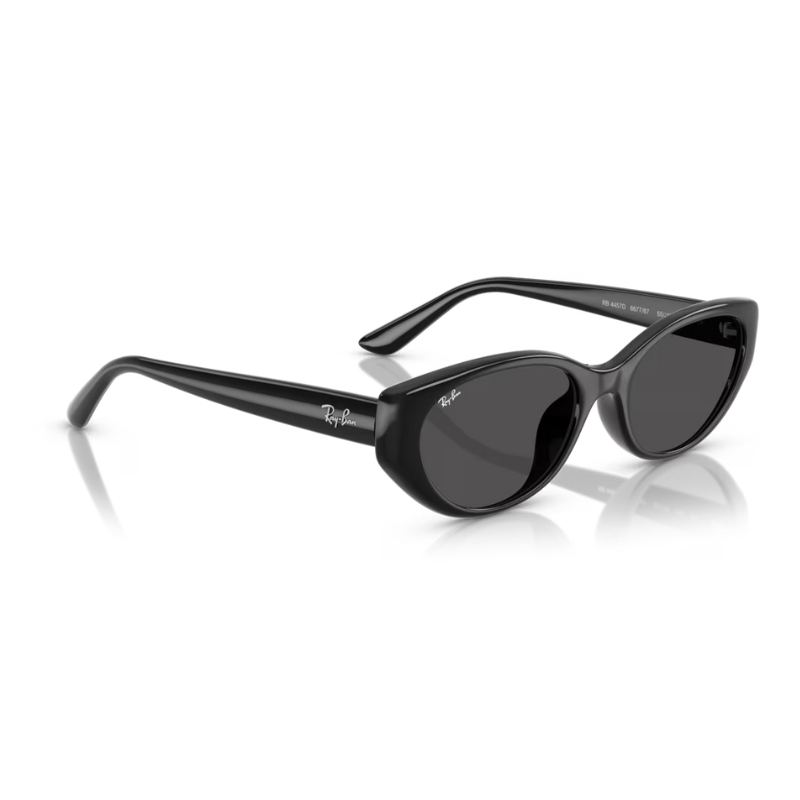 Ray Ban RB4457D 667787 55