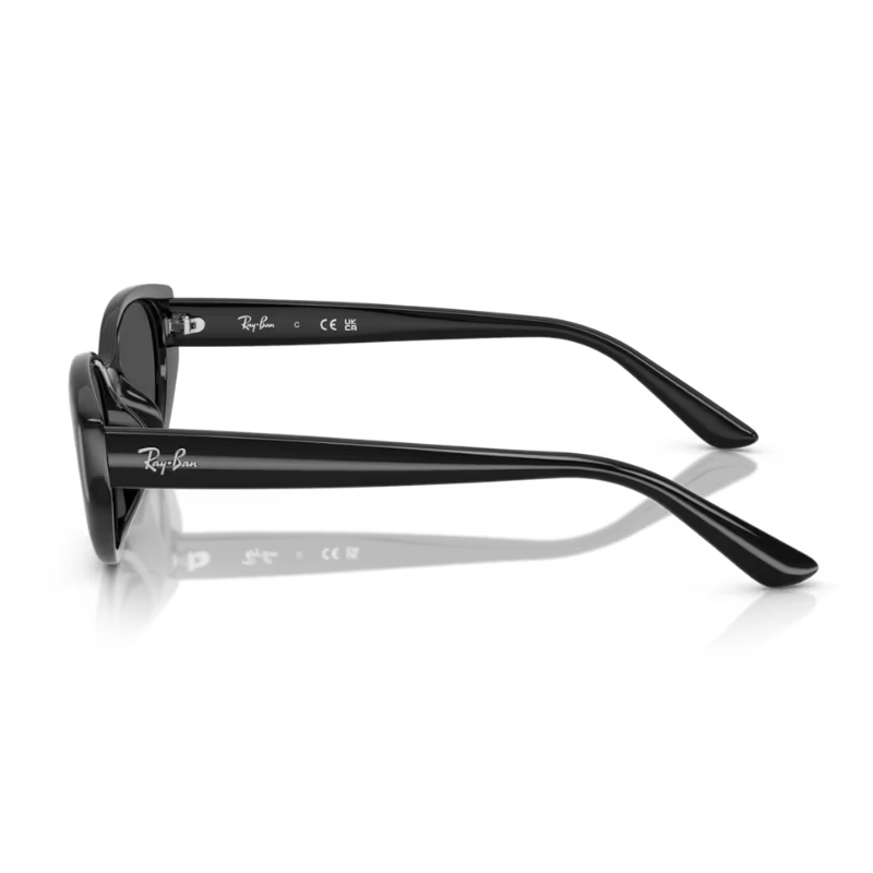 Ray Ban RB4457D 667787 55