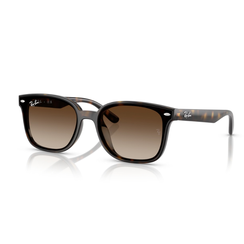 Ray Ban RB4461D 710/13 64
