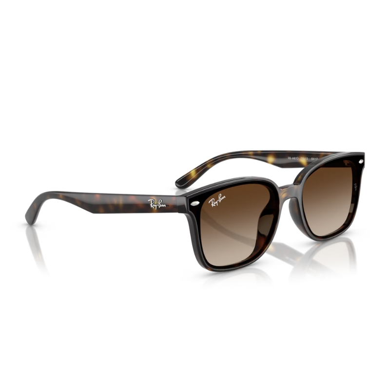 Ray Ban RB4461D 710/13 64