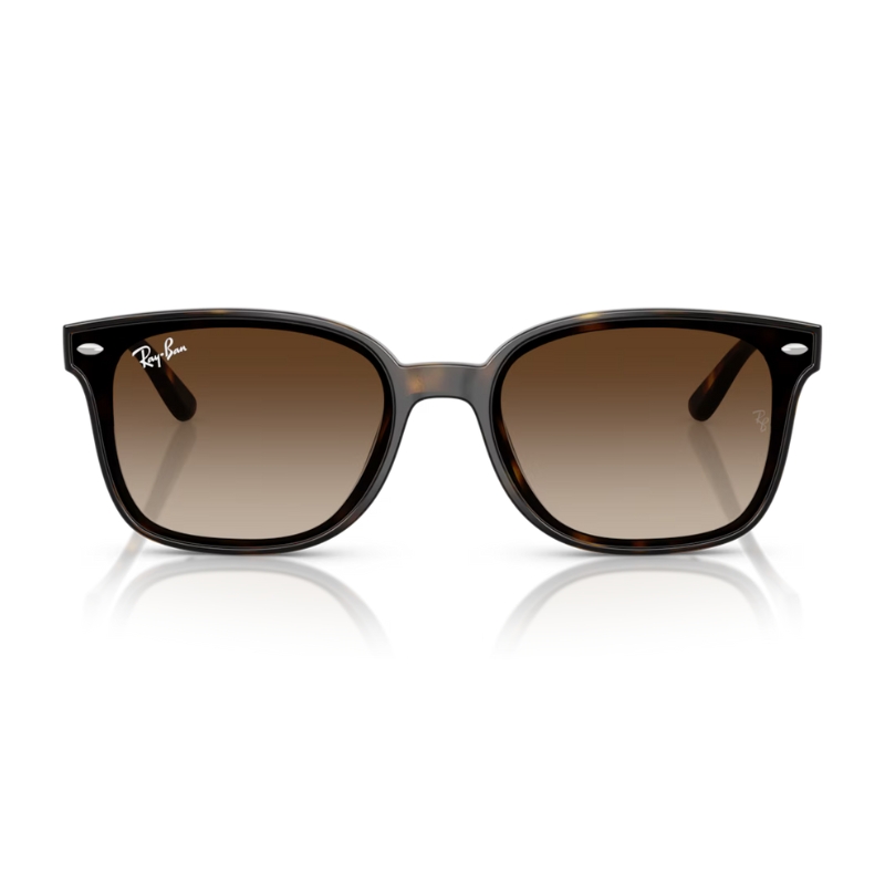 Ray Ban RB4461D 710/13 64
