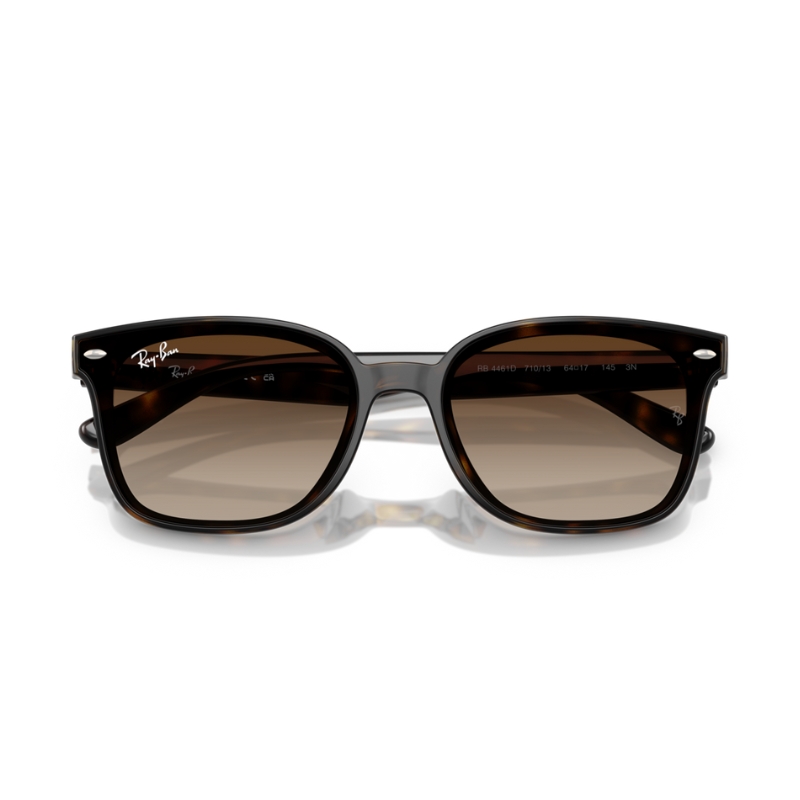 Ray Ban RB4461D 710/13 64