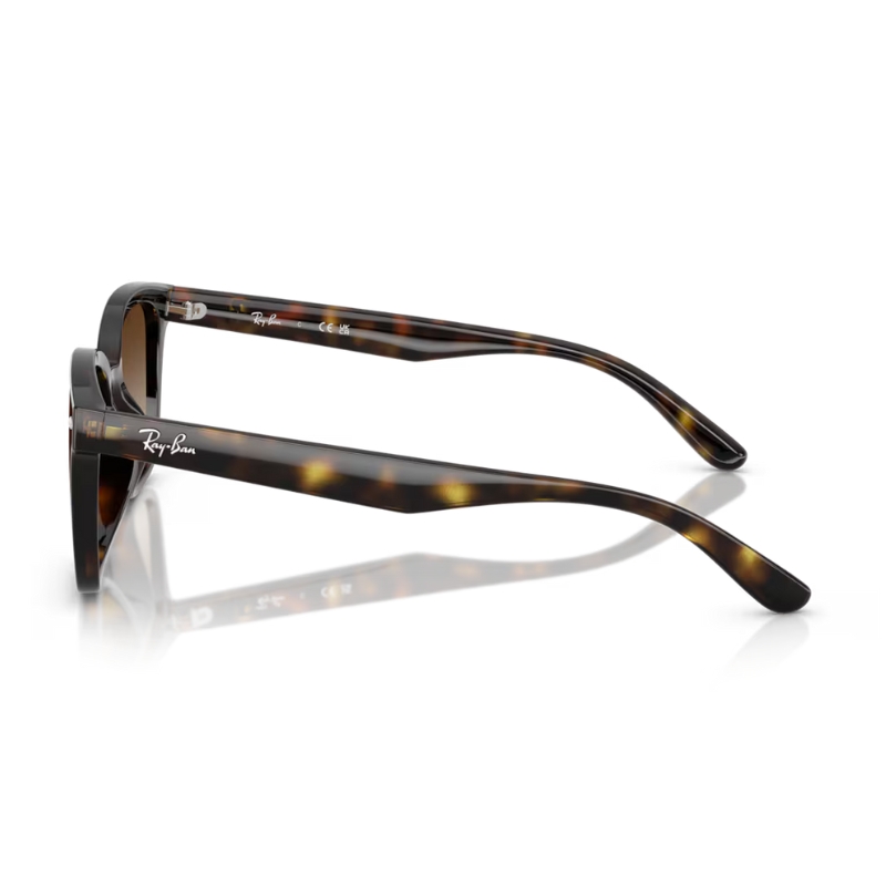 Ray Ban RB4461D 710/13 64