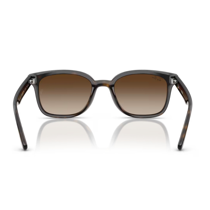 Ray Ban RB4461D 710/13 64