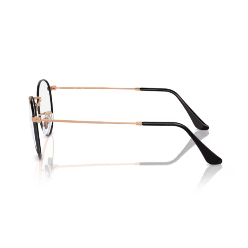 Ray Ban Round metal RX3447V 3173 47