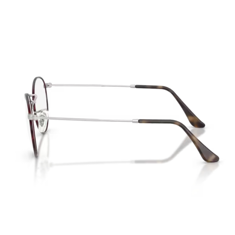 Ray Ban Round metal RX3447V 3194 47