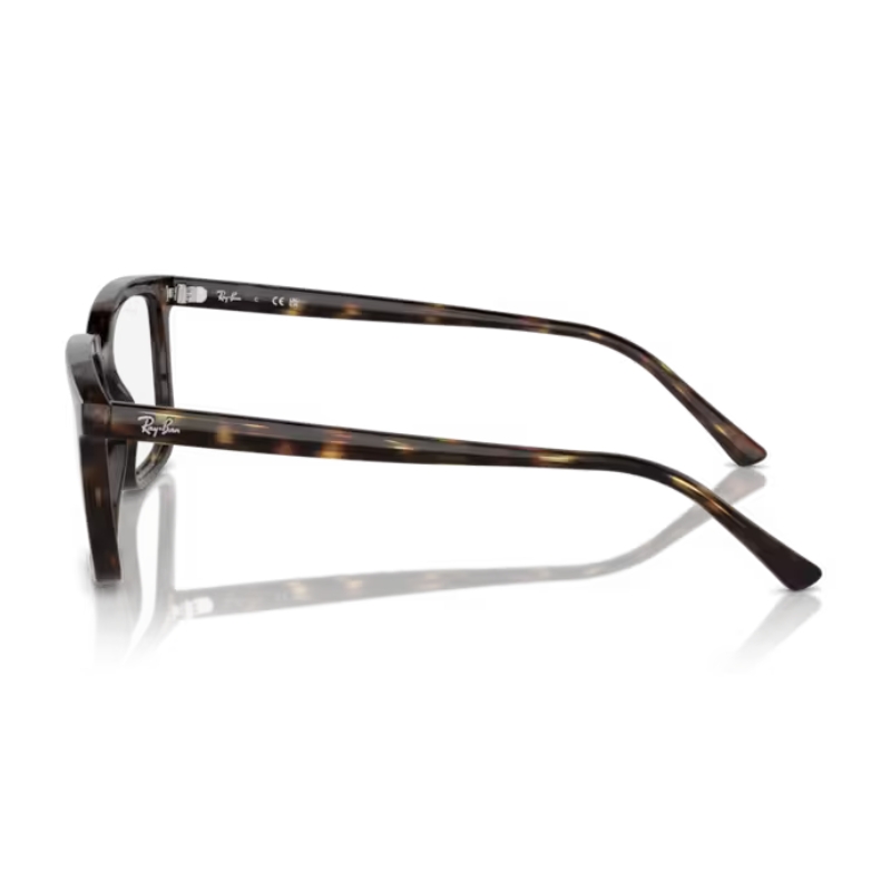 Ray Ban RX7239 2012 54