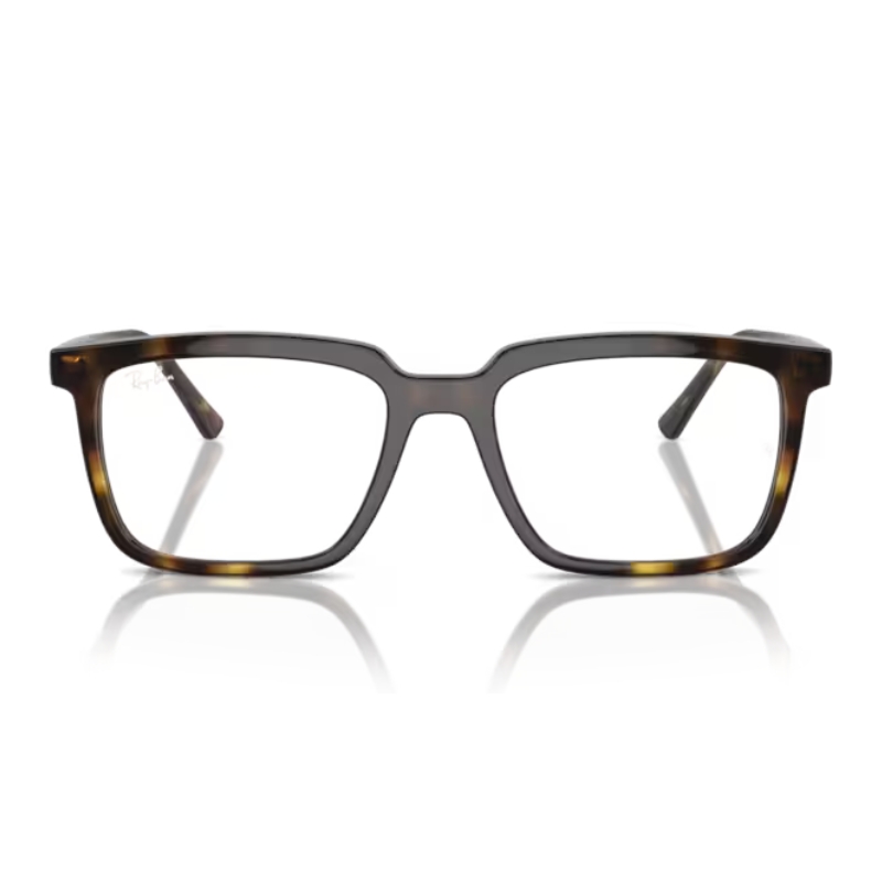 Ray Ban RX7239 2012 54