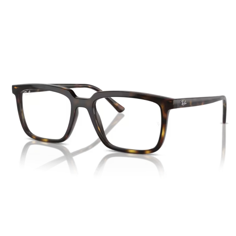 Ray Ban RX7239 2012 54