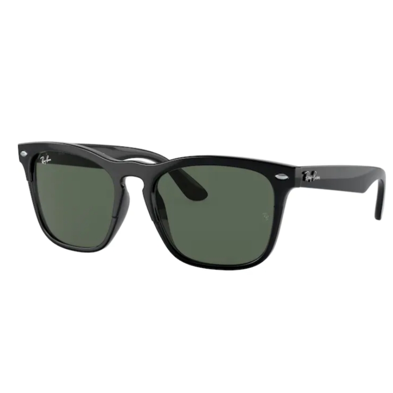 Ray Ban STEVE RB4487 662971 54