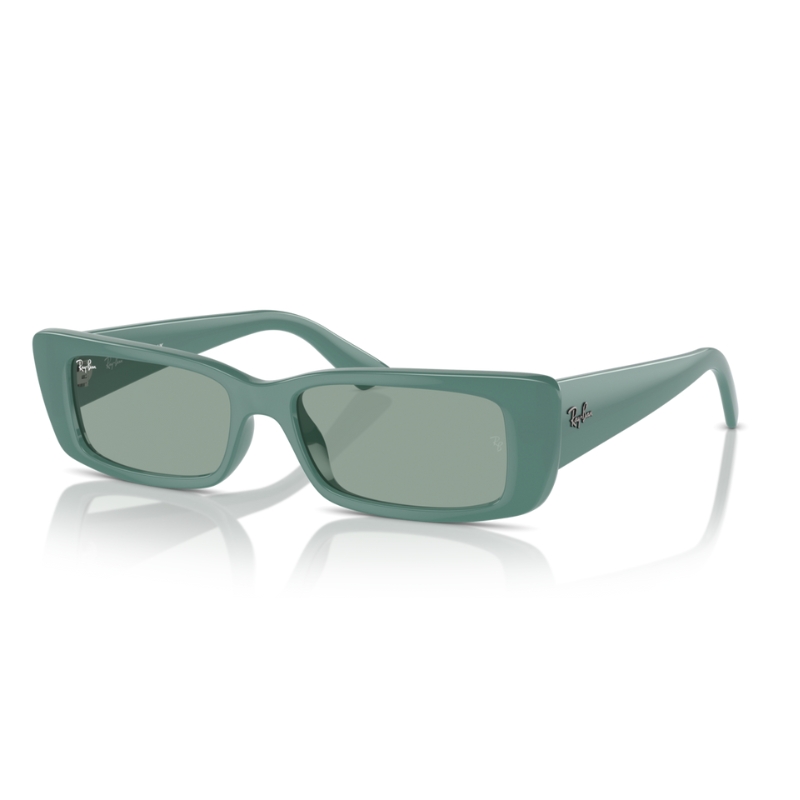 Ray Ban Teru RB4425 676282 54