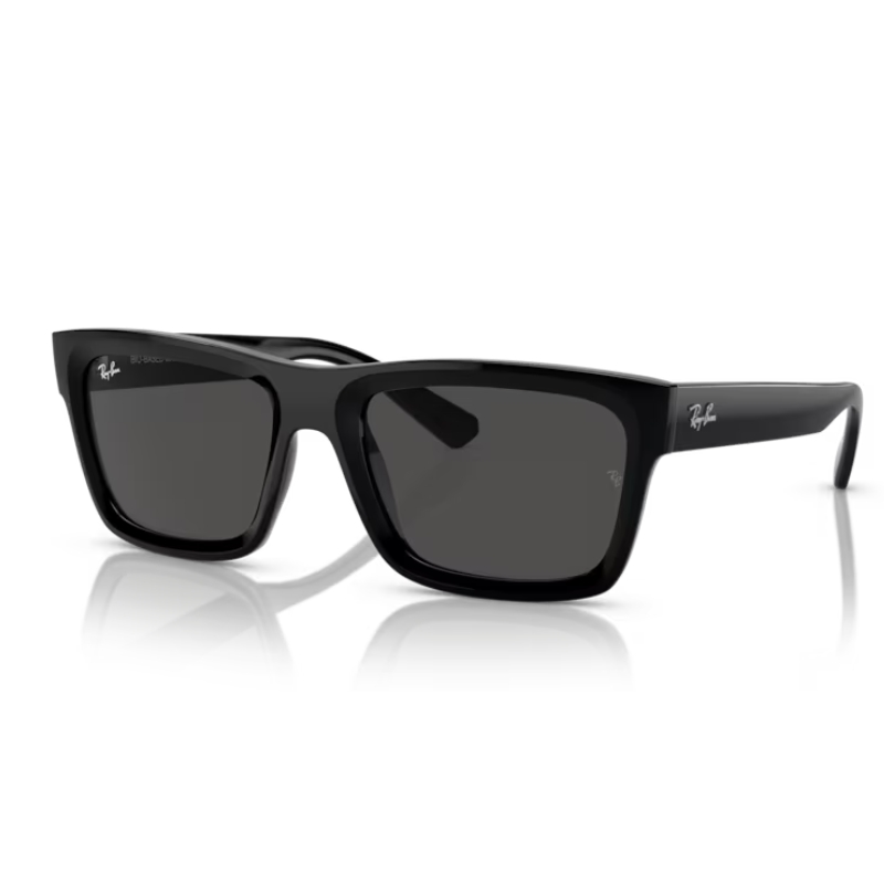 Ray Ban Warren RB4396 667787 54