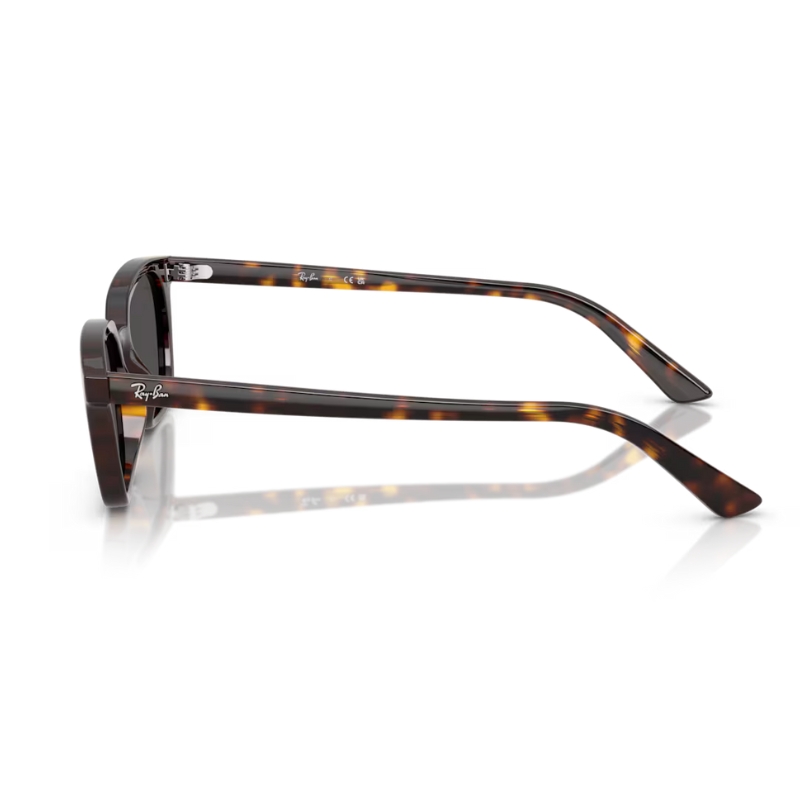 Ray Ban Zaya RB4456 135987 53