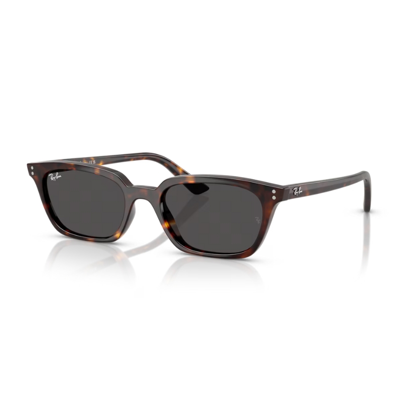 Ray Ban Zaya RB4456 135987 53