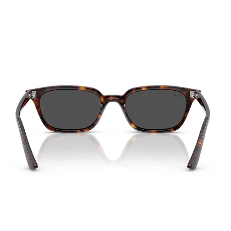 Ray Ban Zaya RB4456 135987 53