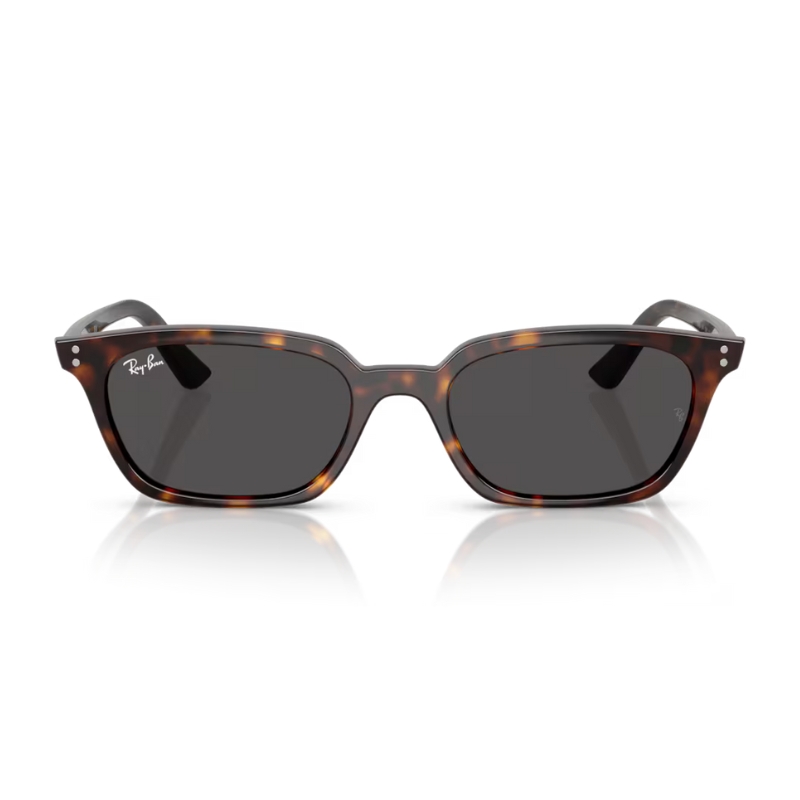 Ray Ban Zaya RB4456 135987 53