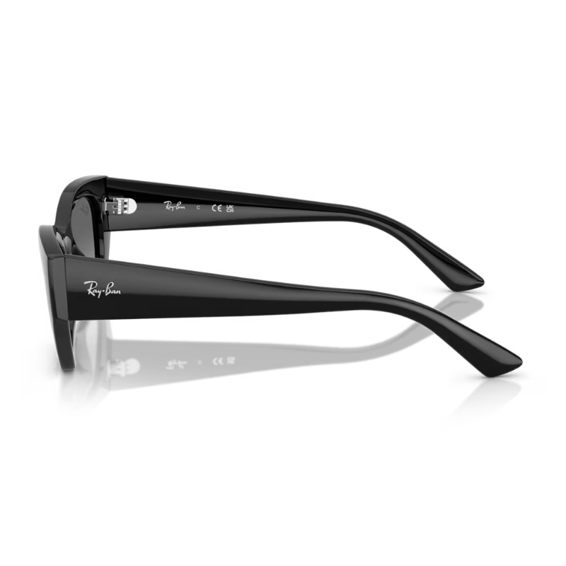 Ray Ban Zena RB4430 667711 52