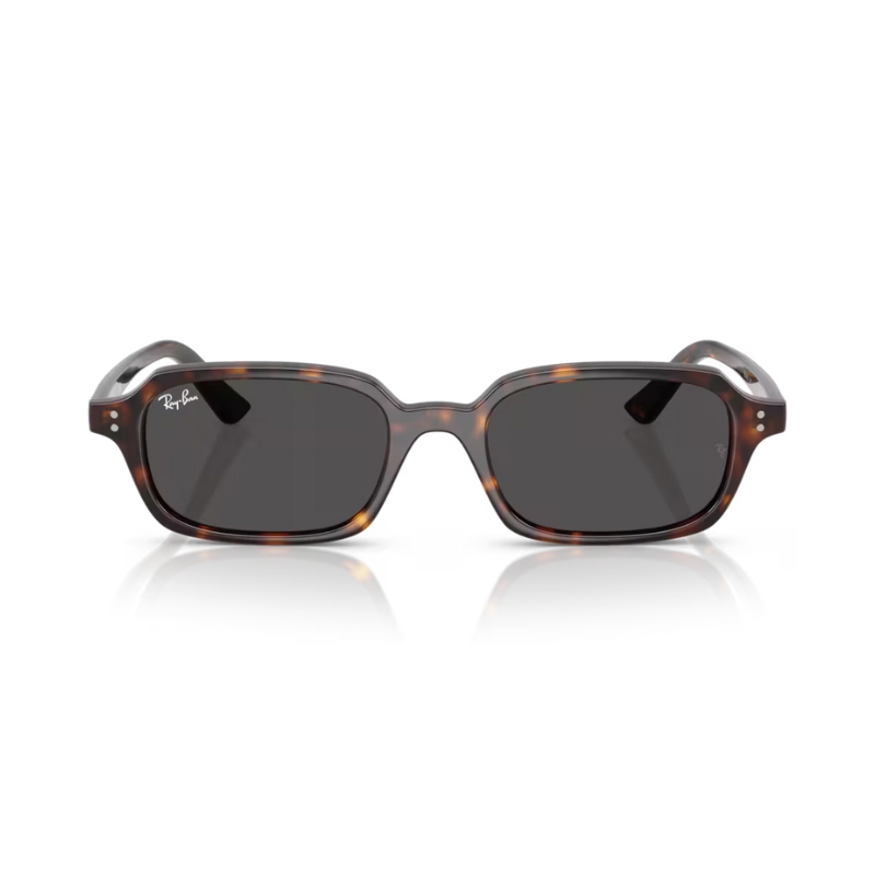 Ray Ban Zuri RB4455 135987 52