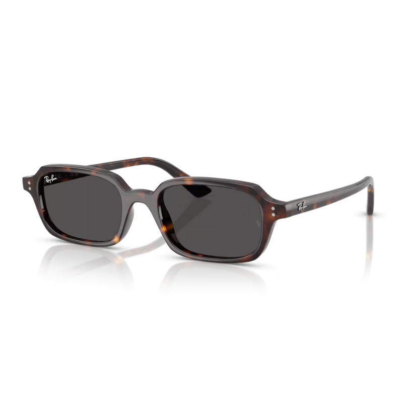 Ray Ban Zuri RB4455 135987 52