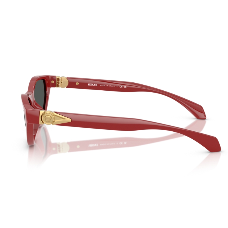 Versace VE4491U 538887 55