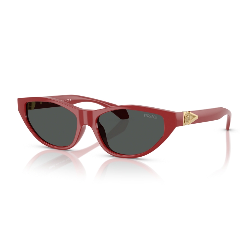 Versace VE4491U 538887 55