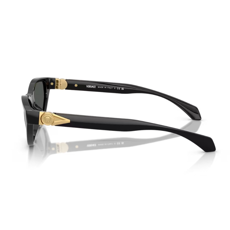 Versace VE4491U GB1/87 55