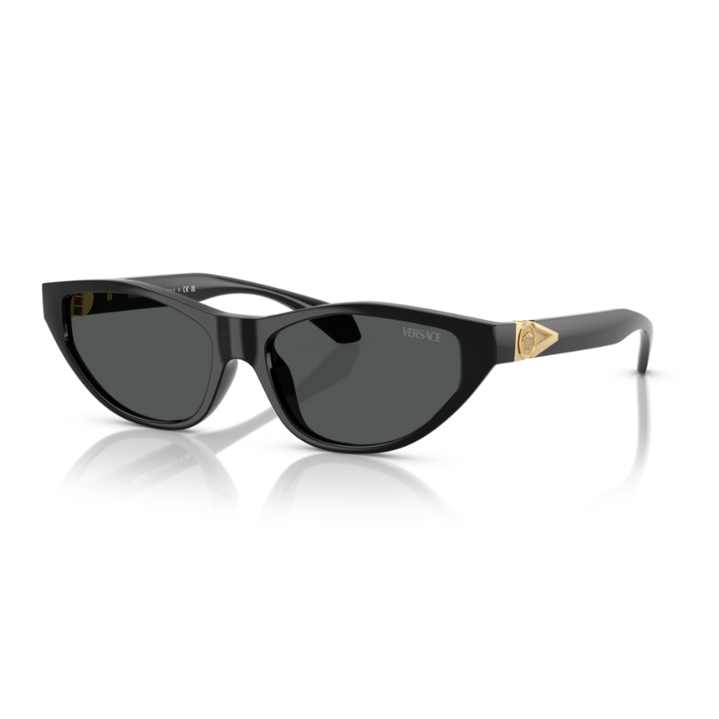 Versace VE4491U GB1/87 55
