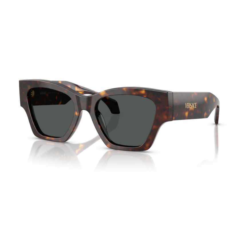 Versace VE4492U 108/87 53