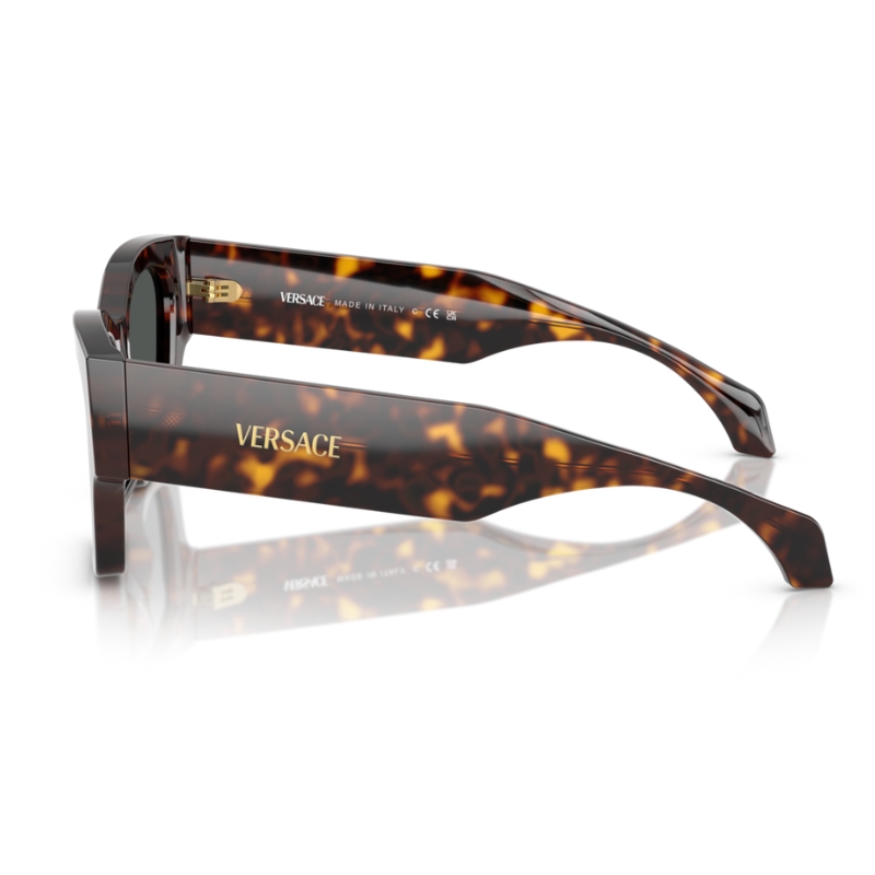 Versace VE4492U 108/87 53