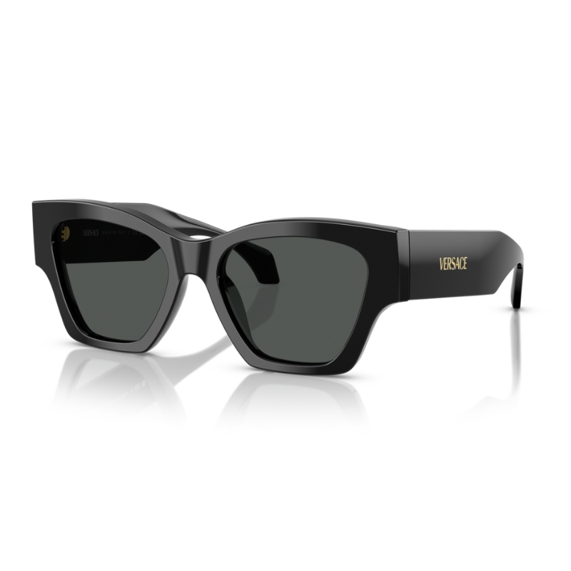 Versace VE4492U GB1/87 53