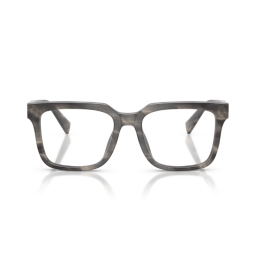 Dolce & Gabbana DG3422 3199 53