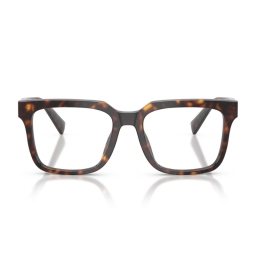 Dolce & Gabbana DG3422 502 51