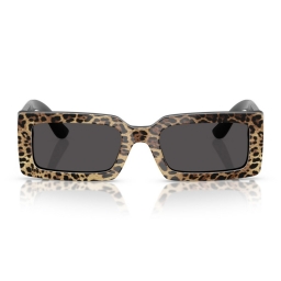 Dolce & Gabbana DG4416 316387 53