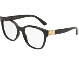 Dolce & Gabbana DG5040 501 54