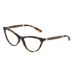 Dolce & Gabbana DG5058 502 55