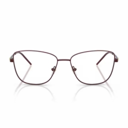 Emporio Armani EA1172 3401 55