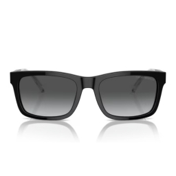 Emporio Armani EA4224 5017T3 57